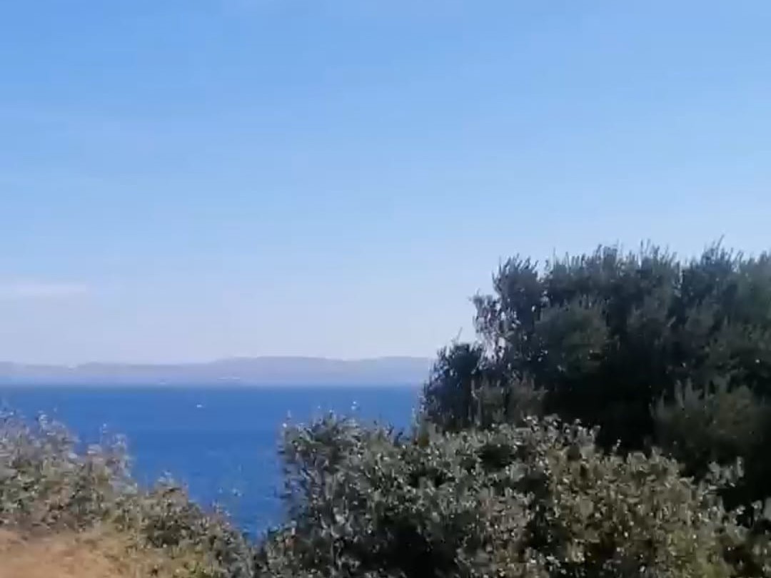 Çınar Gayrimenkul